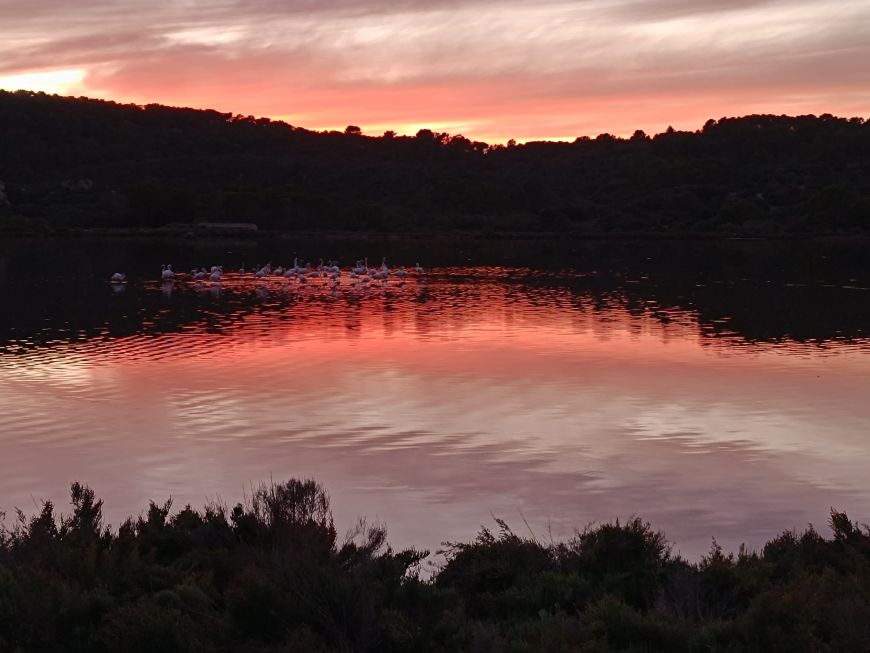 Mongofre Agrotourism